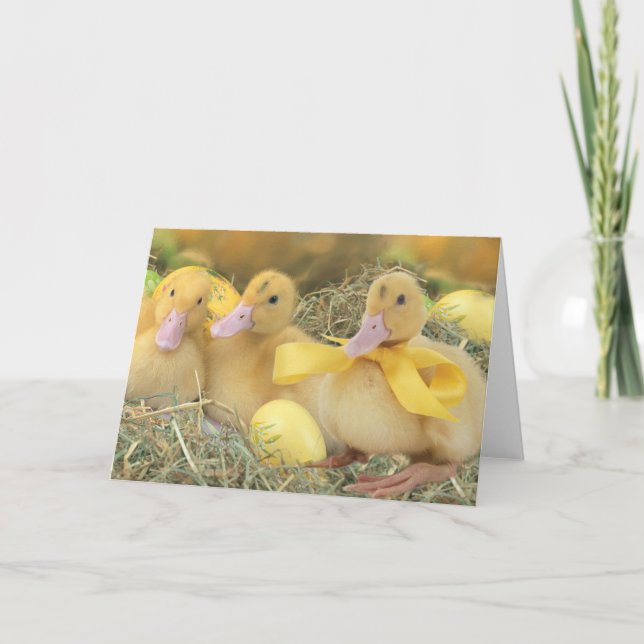 Cartão De Festividades Easter (Frente)