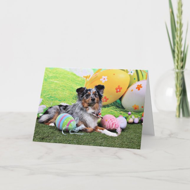 Cartão De Festividades Easter - Australian Shepherd - Silas Barker (Frente)