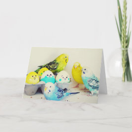 Cartão De Festividades Easter Budgies