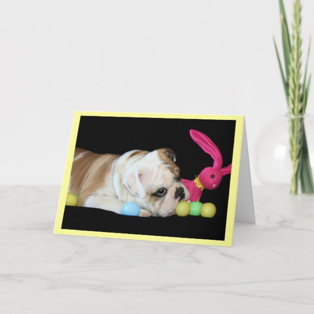 Cartão De Festividades Easter Bulldog greeting card (Frente)