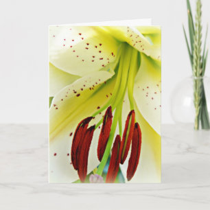 Cartão De Festividades Easter card with lily