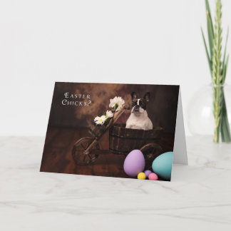 Cartão De Festividades Easter Chick & French Bulldog Easter Card