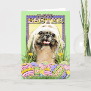 Cartão De Festividades Easter Egg Cookies - Shih Tzu - Opal