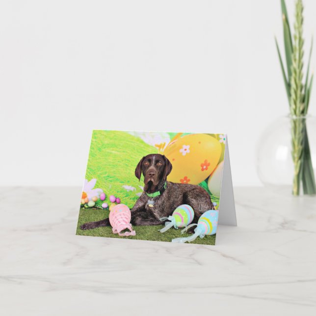 Cartão De Festividades Easter - German Shorthair Pointer - Kaiser (Frente)