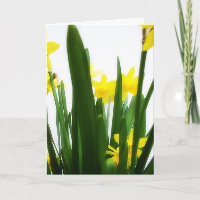 Cartão De Festividades Easter Greetings (Frente)