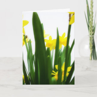 Cartão De Festividades Easter Greetings