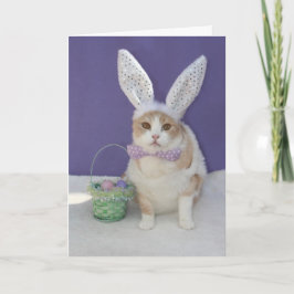 Cartão De Festividades Easter Kitty
