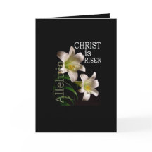 Easter lilly Greeting Card