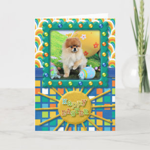 Cartão De Festividades Easter - Pomeranian - Dexter