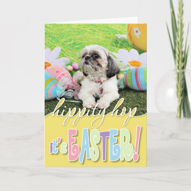 Cartão De Festividades Easter - Shih Tzu - Sophie (Frente)