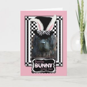 Cartão De Festividades Easter - Some Bunny Loves You - Newfoundland
