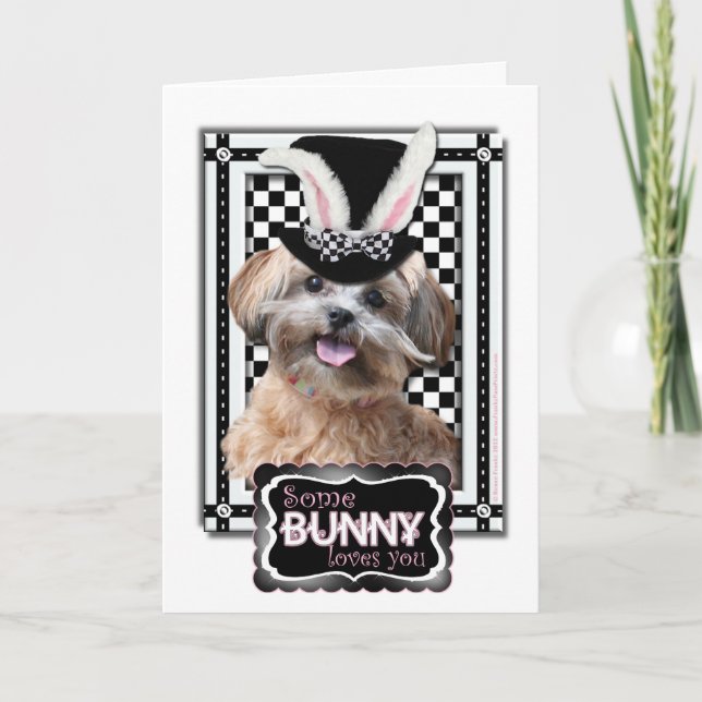 Cartão De Festividades Easter - Some Bunny Loves You - ShihPoo (Frente)
