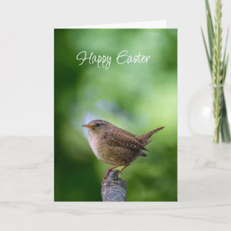 Cartão De Festividades Easter Spring Wren Bird Joy Happiness Wishes
