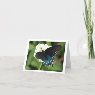 Cartão De Festividades Eastern Swallowtail Butterfly