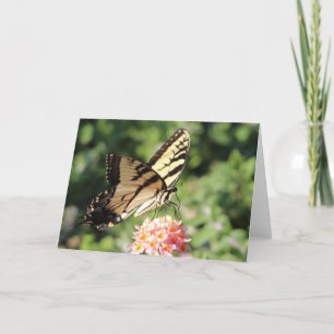 Cartão De Festividades Eastern tiger swallowtail