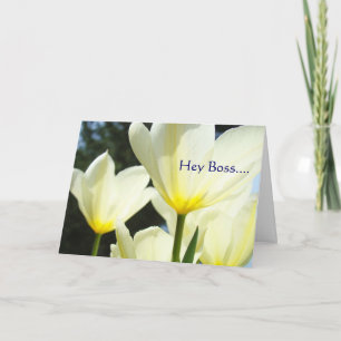 Cartão De Festividades Ei Chefe FELIZ FELIZ MERRY Natal para Você!