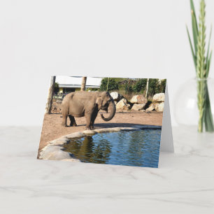 Cartão De Festividades elefante asiático