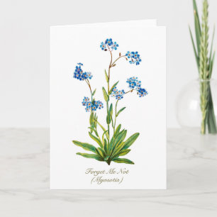Cartão De Festividades Elegante Flor Botânica Vintage Não Me Esqueças