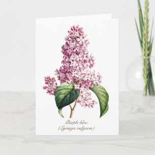 Cartão De Festividades Elegante Flor de Lilás Roxo Botânico Vintage