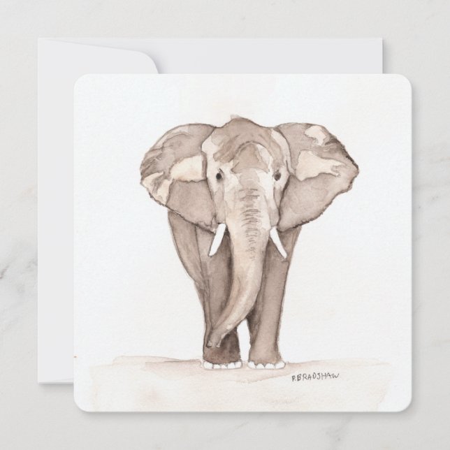 Cartão De Festividades Elephant stationary (Frente)