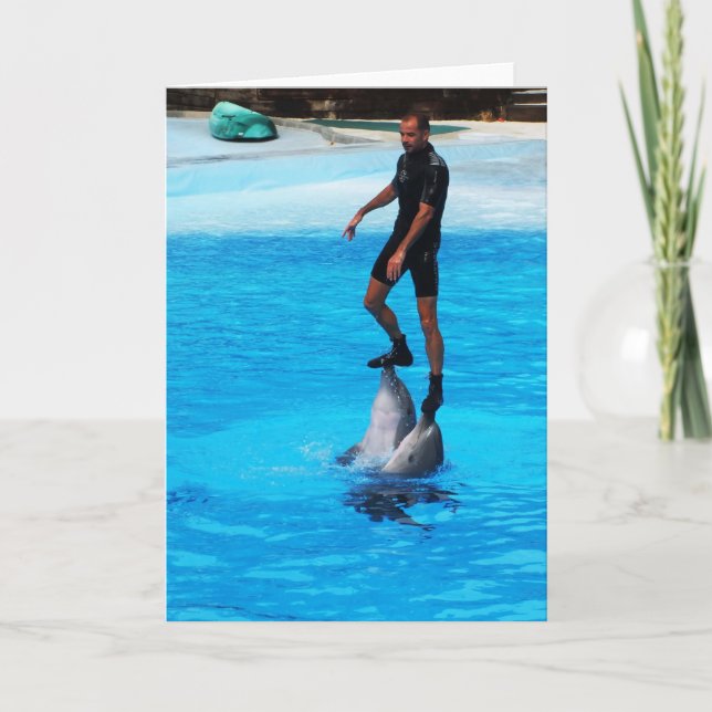 Cartão De Festividades Em pé sobre golfinhos (Frente)