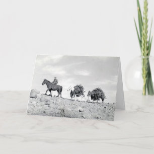 Cartão De Festividades Embalando para fora árvores de Natal