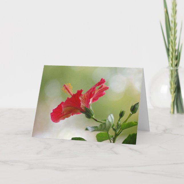 Cartão De Festividades Embossed Red Hibiscus, Christmas Lights (Frente)