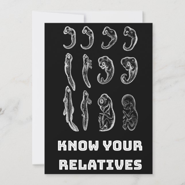 Cartão De Festividades Embriogênese Evolutiva (Frente)