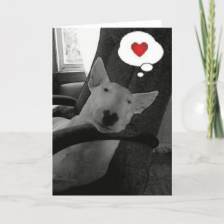Cartão De Festividades english bull terrier valentine