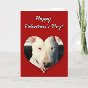 Cartão De Festividades English Bull Terrier Valentines Day Card