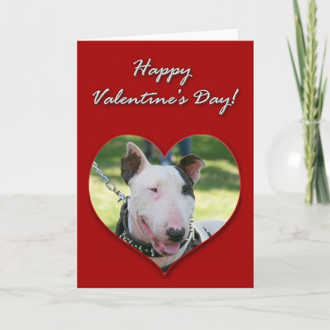 Cartão De Festividades English Bull Terrier Valentines Day Card (Frente)