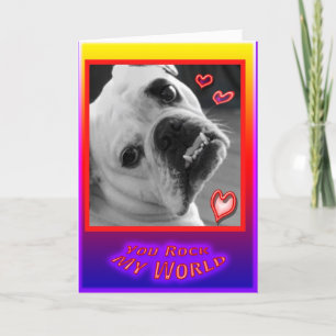 Cartão De Festividades English Bulldog Valentines Day Card