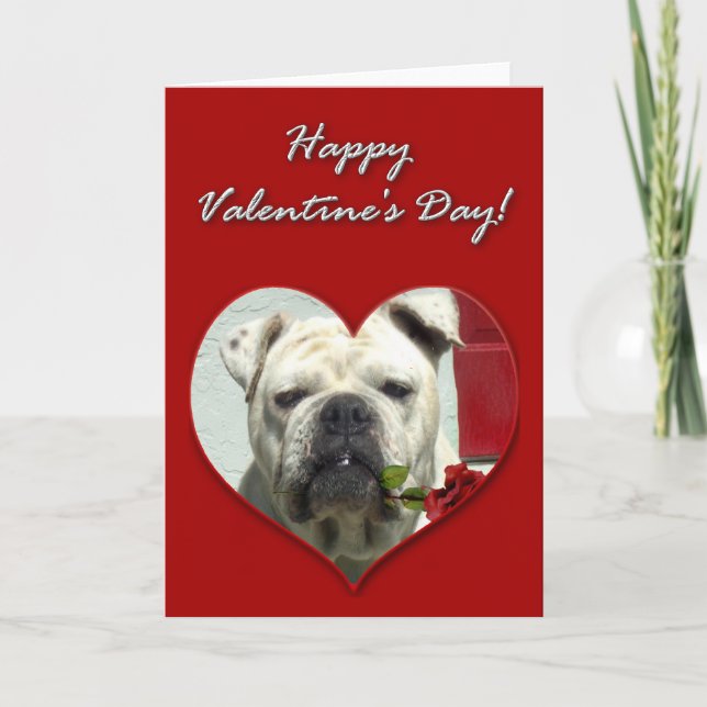 Cartão De Festividades English Bulldog Valentines Day Card (Frente)