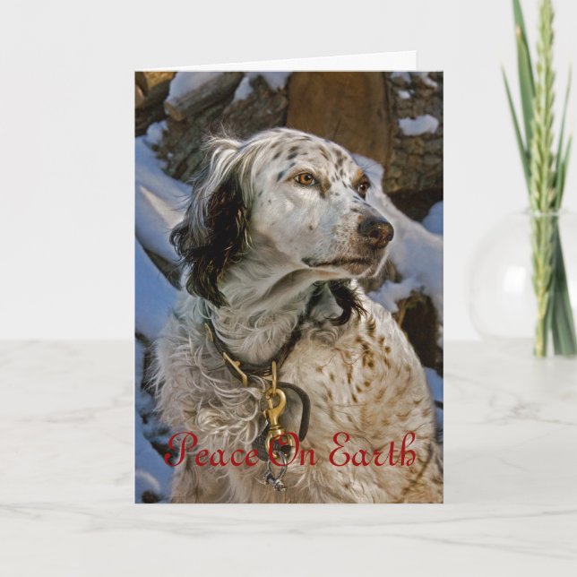 Cartão De Festividades English Setter #2 Holiday Card (Frente)