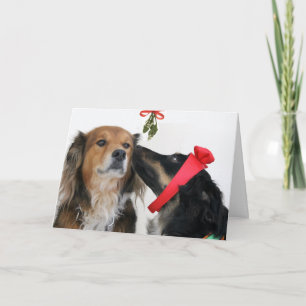 Cartão De Festividades English Shepherds under the Mistletoe card!