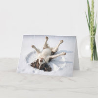 English Springer Spaniel Fazendo um Anjo de Neve
