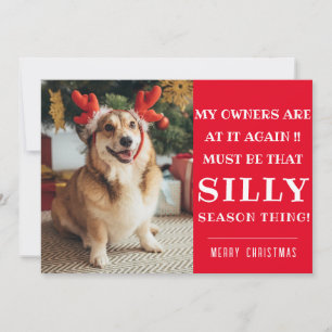 Cartão De Festividades Engraçada Citação do Natal Põe o Natal Saudando Ca