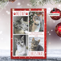 Engraçado Cat 4 Colagem Fotográfica MEOWY CHRISTMA