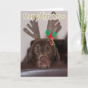 Cartão De Festividades Engraçado Labrador Glitter Antlers Dentro de Text