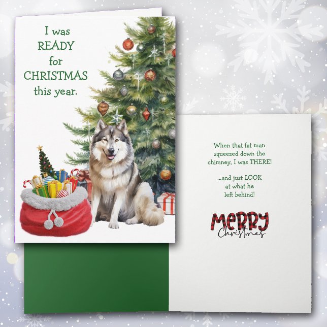 Cartão De Festividades Engraçado Malamute Cão Pronto para o Natal (Criador carregado)