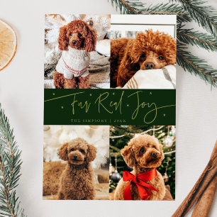 Cartão De Festividades Engraçado Pelo Real Jogo Foto de Cachorro Verde Na
