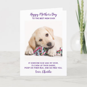 Cartão De Festividades Engraçado personalizado Pet Photo Dia de as mães M