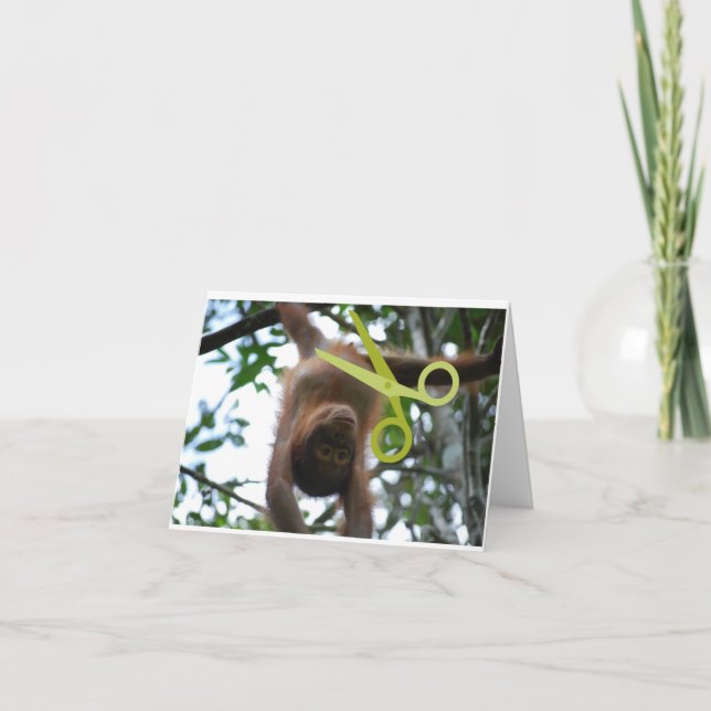 Cartão De Festividades Engraçado Vasectomia (Frente)