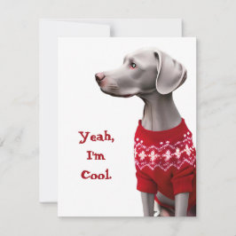 Cartão De Festividades Engraçado Weimaraner no Sweater de Natal