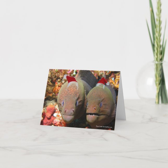 Cartão De Festividades Enguias de Natal (Frente)