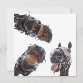 Cartão De Festividades Enkele feestdagenkaart