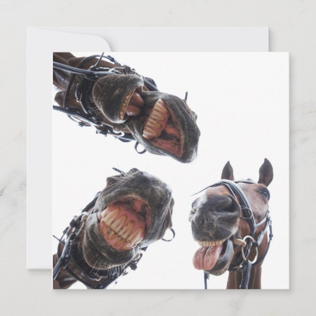 Cartão De Festividades Enkele feestdagenkaart (Frente)