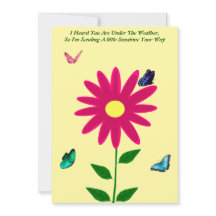 Enviando Placa Sunshine