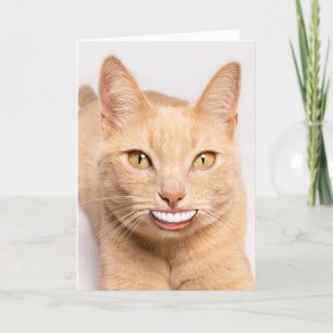 Cartão De Festividades Enviando um gato engraçado sorrindo com dentes hum