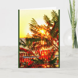 Cartão De Festividades Enviar Um Natal Quente Deseja O Seu Caminho!